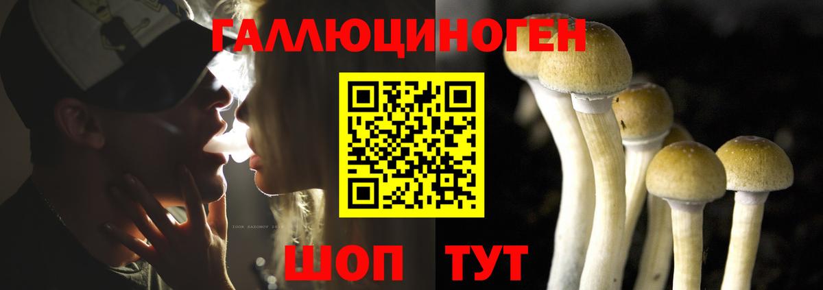 Вязники  Галлюциногенные грибы Psilocybine cubensis  Вход с VPN 